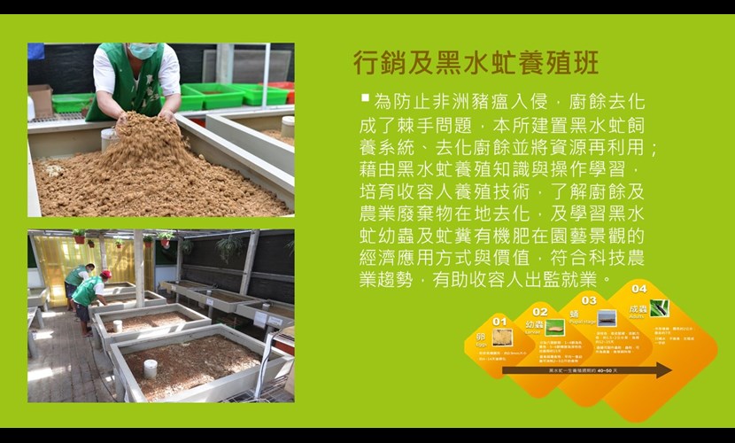 行銷及黑水虻養殖班