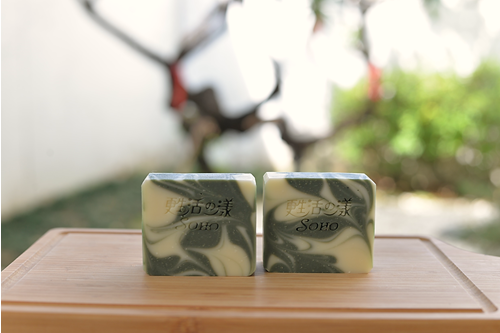 SOAP-CP No.2